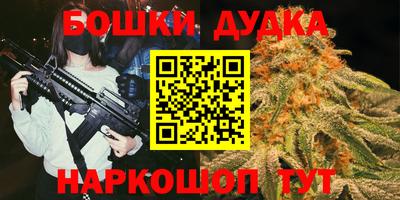 индика Лесосибирск