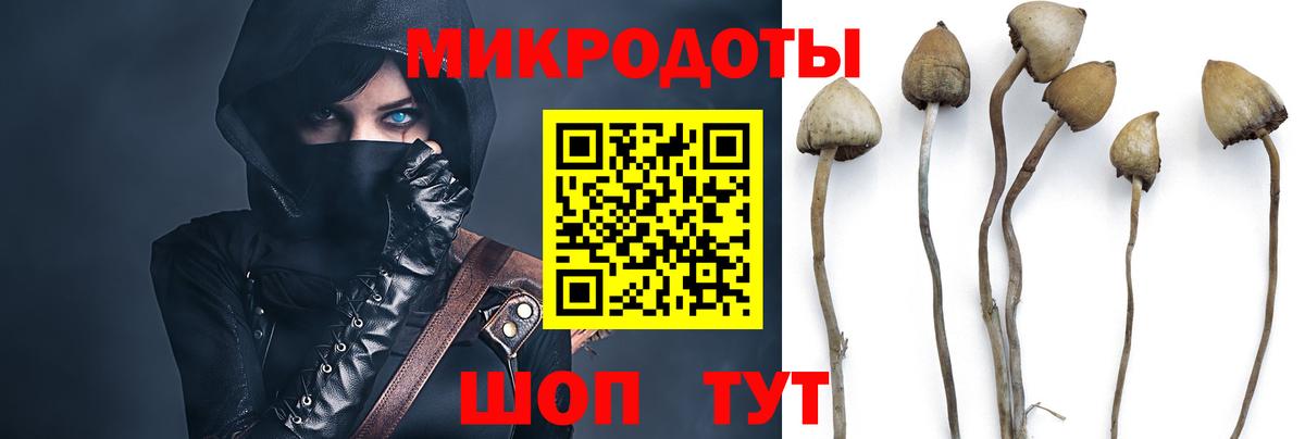 Долгопрудный  где купить наркотик  Вход с VPN  Галлюциногенные грибы Cubensis 